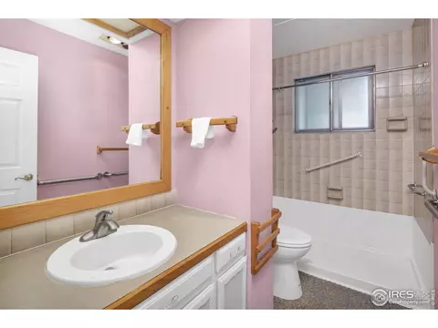 1221 E 85th Pl, Denver, CO 80229 photo 11