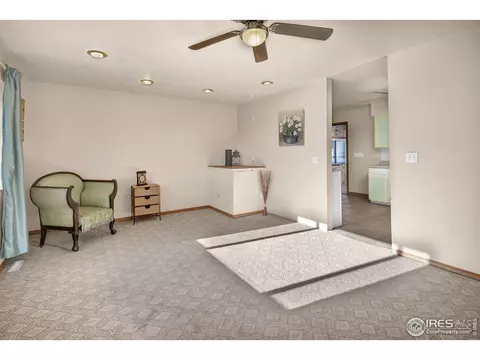 1221 E 85th Pl, Denver, CO 80229 photo 6