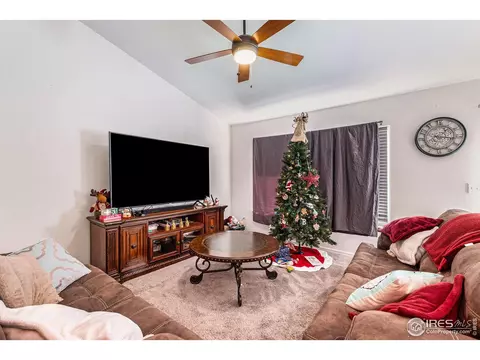 949 Scotch Pine Dr, Severance, CO 80550 photo 10
