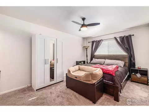 949 Scotch Pine Dr, Severance, CO 80550 photo 14