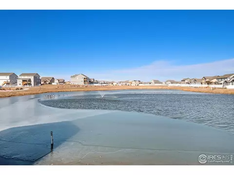 949 Scotch Pine Dr, Severance, CO 80550 photo 19