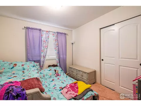 949 Scotch Pine Dr, Severance, CO 80550 photo 13