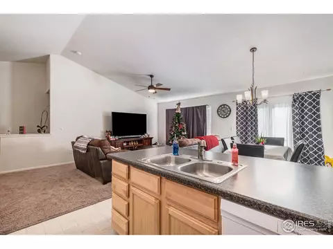 949 Scotch Pine Dr, Severance, CO 80550 photo 4
