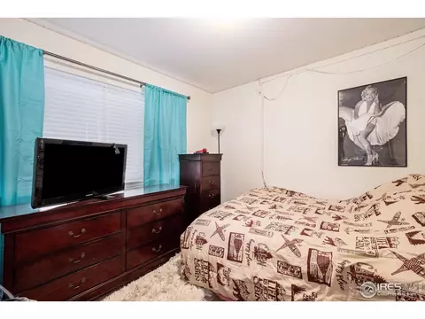 949 Scotch Pine Dr, Severance, CO 80550 photo 11