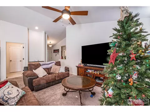 949 Scotch Pine Dr, Severance, CO 80550 photo 9