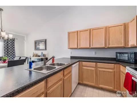949 Scotch Pine Dr, Severance, CO 80550 photo 7