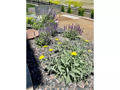 15771 W Eureka Ave, Morrison, CO 80465 photo 37