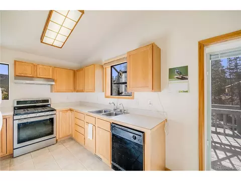 691 Gold Flake Ter, Bailey, CO 80421 photo 16