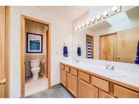 691 Gold Flake Ter, Bailey, CO 80421 photo 25