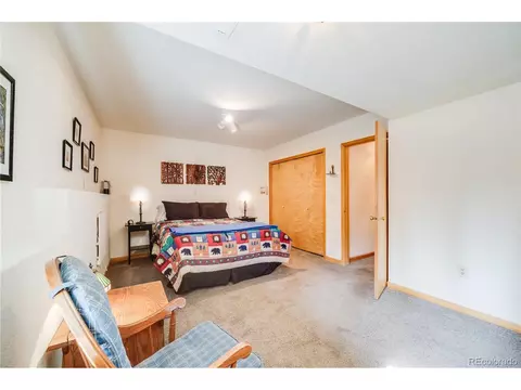 691 Gold Flake Ter, Bailey, CO 80421 photo 26