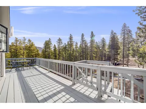 691 Gold Flake Ter, Bailey, CO 80421 photo 20