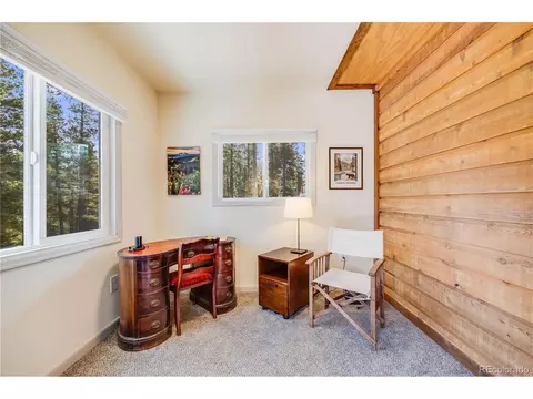 691 Gold Flake Ter, Bailey, CO 80421 photo 33