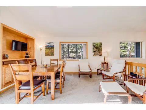691 Gold Flake Ter, Bailey, CO 80421 photo 11
