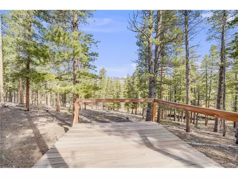 691 Gold Flake Ter, Bailey, CO 80421 photo 37