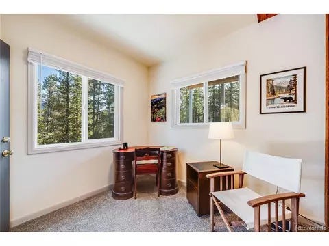 691 Gold Flake Ter, Bailey, CO 80421 photo 32