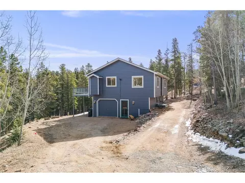 691 Gold Flake Ter, Bailey, CO 80421 photo 38