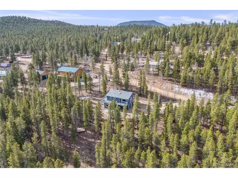 691 Gold Flake Ter, Bailey, CO 80421 photo 42