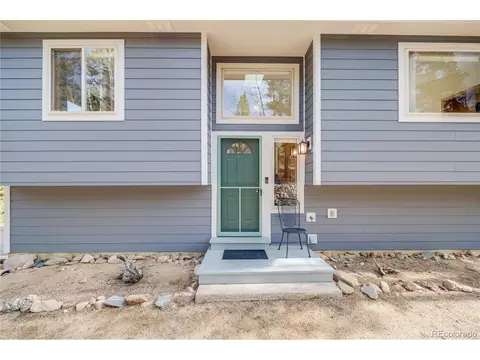 691 Gold Flake Ter, Bailey, CO 80421 photo 4