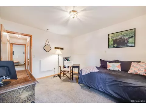 691 Gold Flake Ter, Bailey, CO 80421 photo 29
