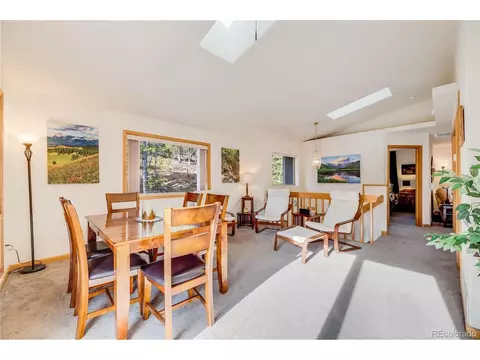 691 Gold Flake Ter, Bailey, CO 80421 photo 9