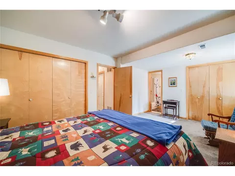 691 Gold Flake Ter, Bailey, CO 80421 photo 27