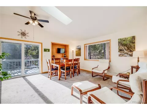 691 Gold Flake Ter, Bailey, CO 80421 photo 7