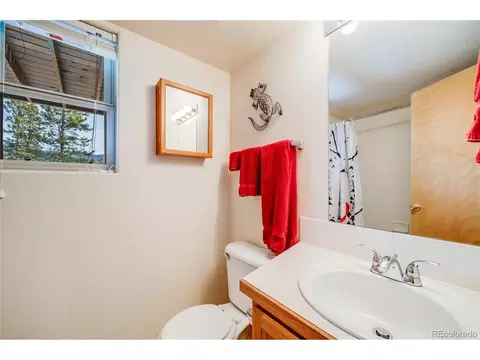 691 Gold Flake Ter, Bailey, CO 80421 photo 28