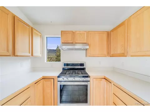 691 Gold Flake Ter, Bailey, CO 80421 photo 14
