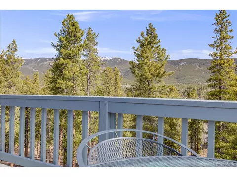691 Gold Flake Ter, Bailey, CO 80421 photo 21
