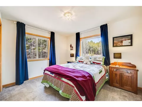 691 Gold Flake Ter, Bailey, CO 80421 photo 23