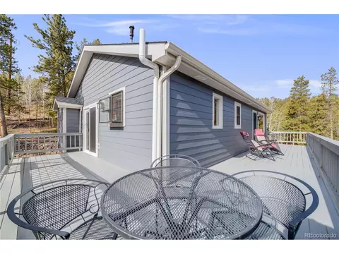 691 Gold Flake Ter, Bailey, CO 80421 photo 31