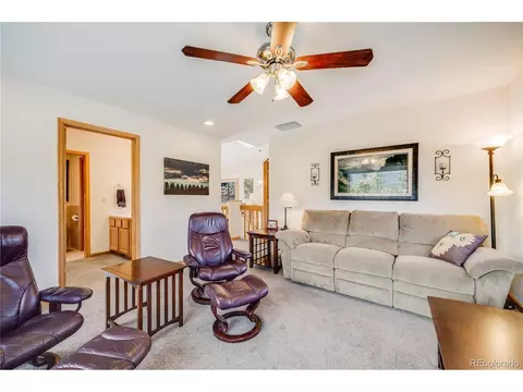 691 Gold Flake Ter, Bailey, CO 80421 photo 18