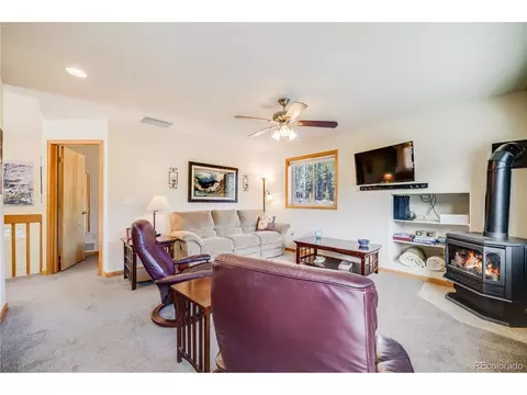 691 Gold Flake Ter, Bailey, CO 80421 photo 19
