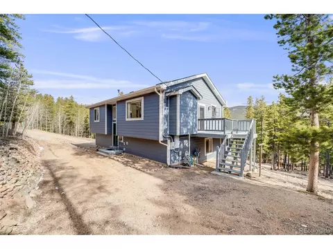 691 Gold Flake Ter, Bailey, CO 80421 photo 36