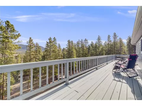 691 Gold Flake Ter, Bailey, CO 80421 photo 22