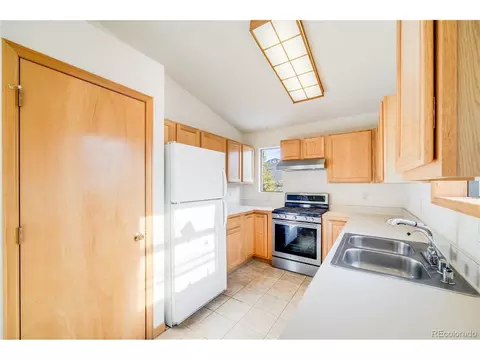 691 Gold Flake Ter, Bailey, CO 80421 photo 13