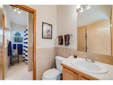 691 Gold Flake Ter, Bailey, CO 80421 photo 24
