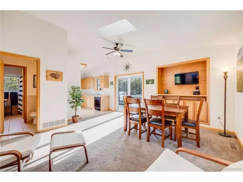 691 Gold Flake Ter, Bailey, CO 80421 photo 10