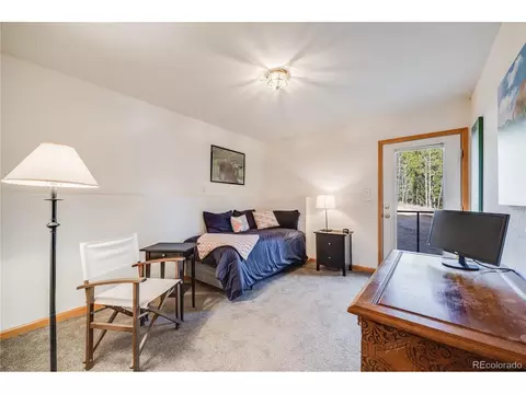 691 Gold Flake Ter, Bailey, CO 80421 photo 30