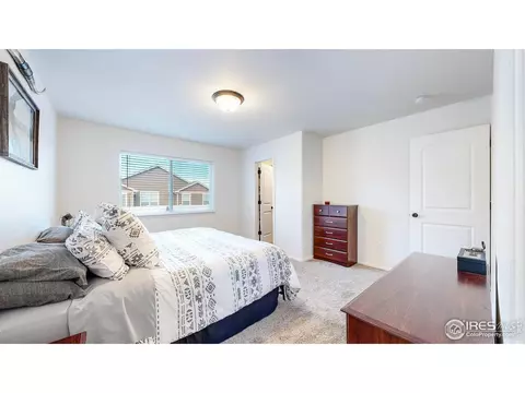 964 Mouflon Dr, Severance, CO 80550 photo 13