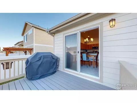 964 Mouflon Dr, Severance, CO 80550 photo 28