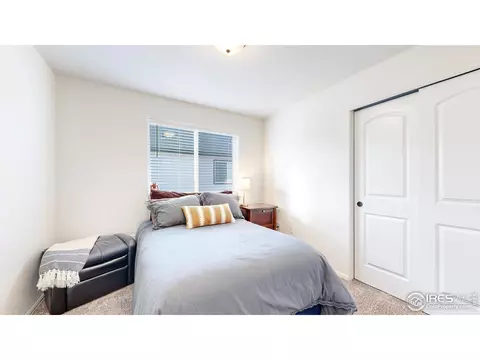 964 Mouflon Dr, Severance, CO 80550 photo 17
