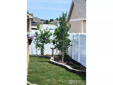 964 Mouflon Dr, Severance, CO 80550 photo 32