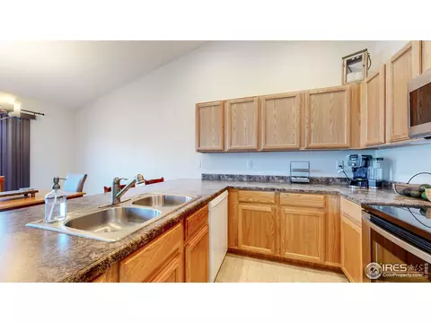 964 Mouflon Dr, Severance, CO 80550 photo 8
