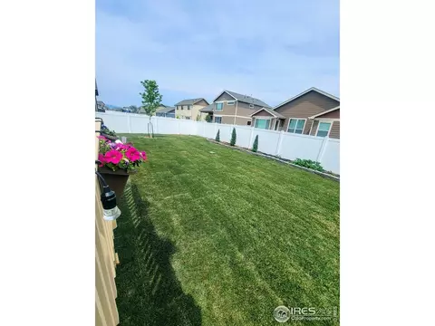 964 Mouflon Dr, Severance, CO 80550 photo 35