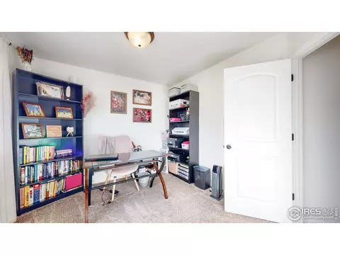 964 Mouflon Dr, Severance, CO 80550 photo 21