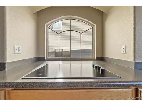 20781 E 48th Pl, Denver, CO 80249 photo 13