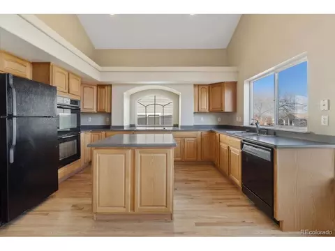 20781 E 48th Pl, Denver, CO 80249 photo 11