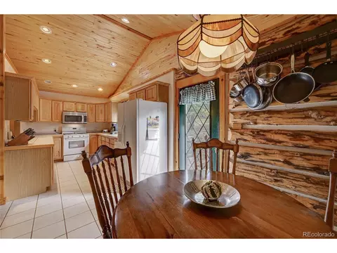 38 Quartz Cir, Bailey, CO 80421 photo 17