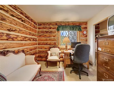 38 Quartz Cir, Bailey, CO 80421 photo 25